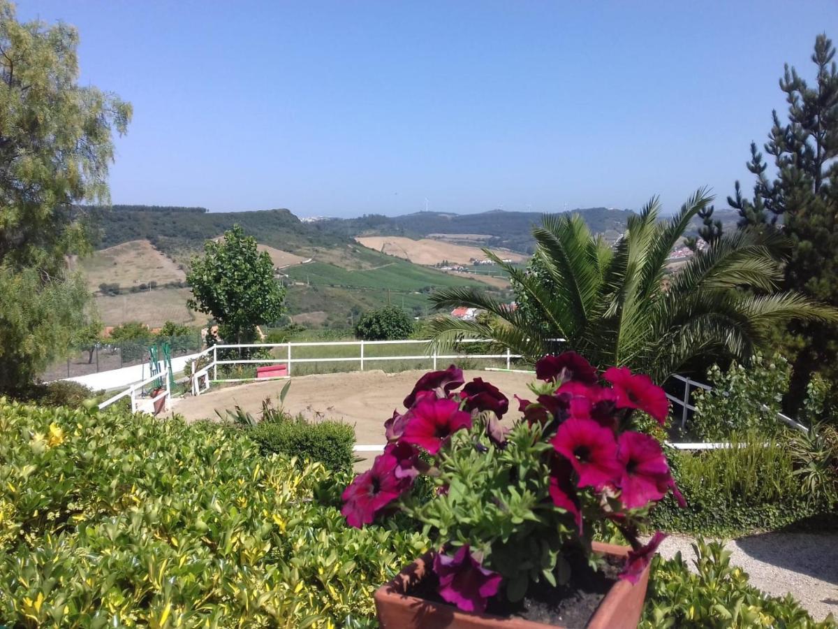 Casinha De Campo- Quintinha Dos Cavalos- Arruda Dos Vinhos Dış mekan fotoğraf