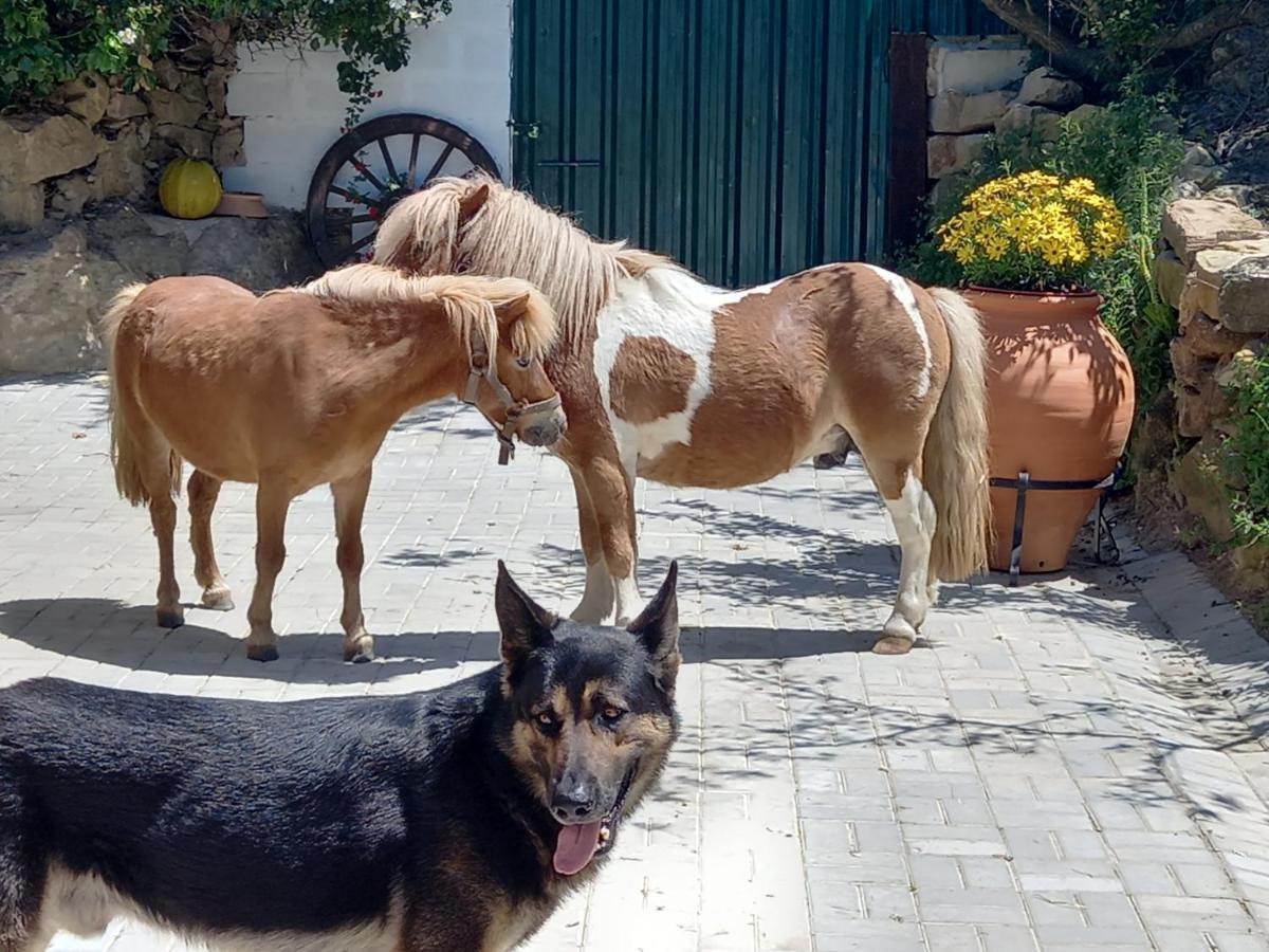 Casinha De Campo- Quintinha Dos Cavalos- Arruda Dos Vinhos Dış mekan fotoğraf