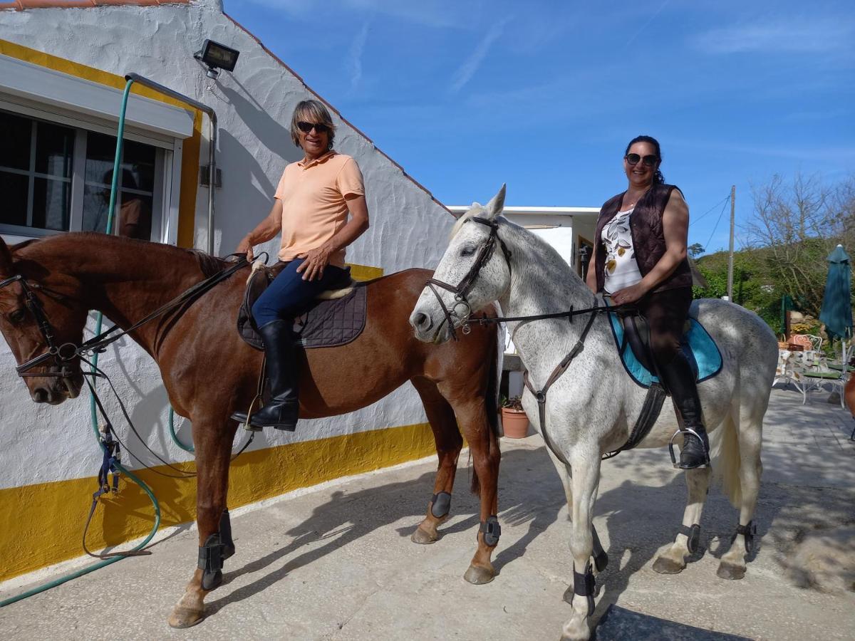Casinha De Campo- Quintinha Dos Cavalos- Arruda Dos Vinhos Dış mekan fotoğraf
