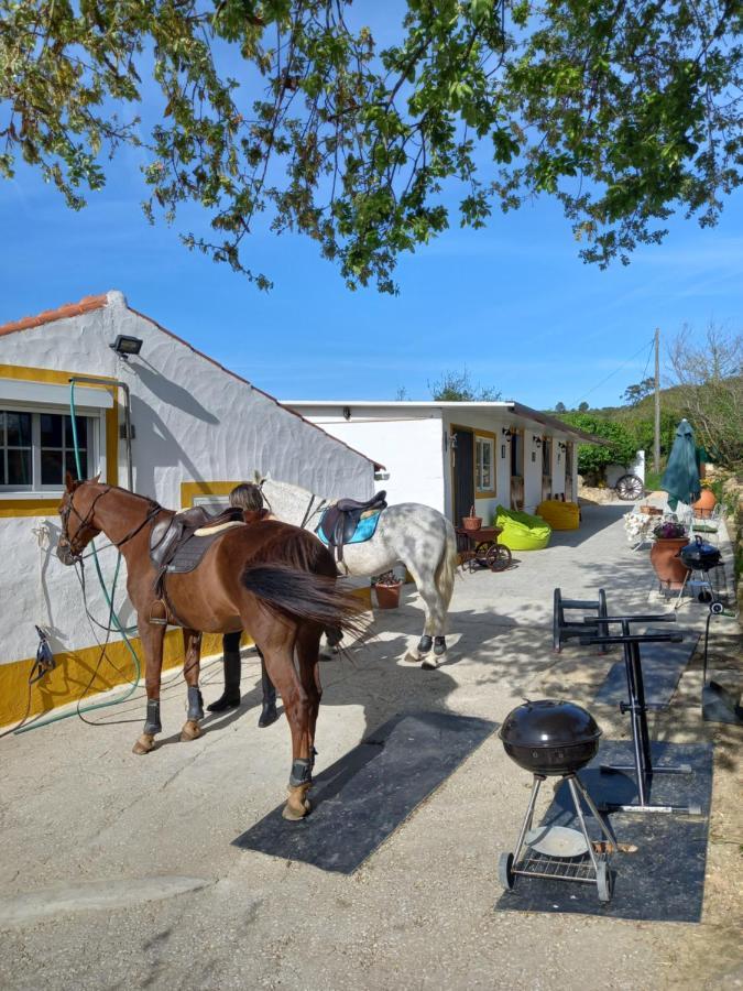 Casinha De Campo- Quintinha Dos Cavalos- Arruda Dos Vinhos Dış mekan fotoğraf