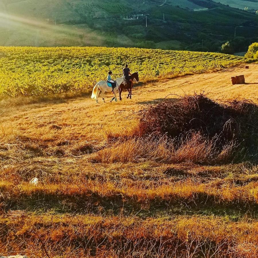 Casinha De Campo- Quintinha Dos Cavalos- Arruda Dos Vinhos Dış mekan fotoğraf